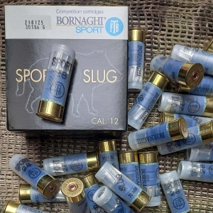 Bornaghi-Sport-28-Slug