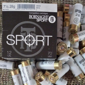 Bornaghi-Sport-28