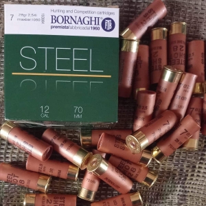 Bornaghi-Steel-28