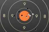 55gr HP BT PPU Rifle Line - 100m - 08x210224d