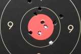 55gr FMJ GGG - 100m - 08x210224c