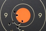 55gr FMJ GECO Target - 100m - 06x210130b