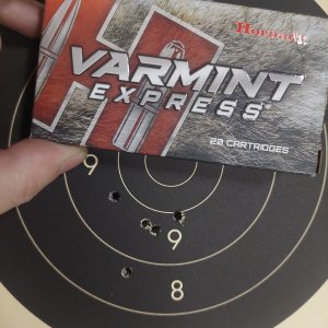 Hornady 40gr SP  Varmint - 241030