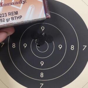 SZI Hornady 52gr BTHP #80235 